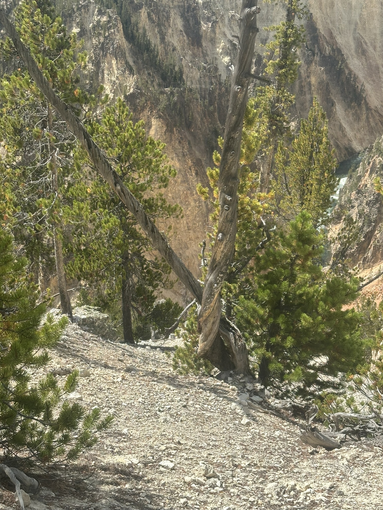 Yellowstone And Grand Teton National Parks - Image 465